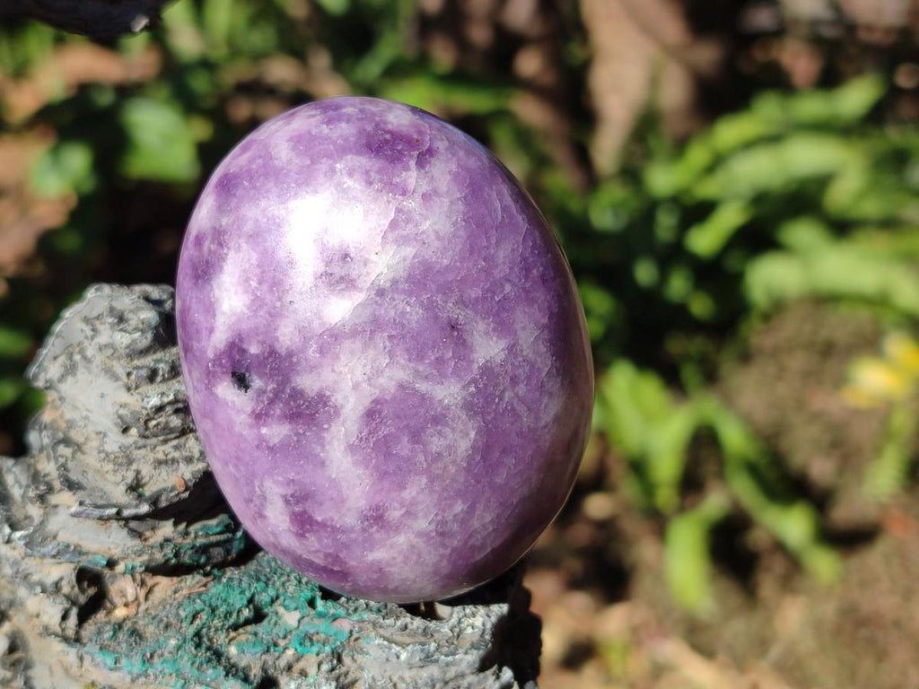 Polished Lepidolite Free Forms x 12 From Zimbabwe - Toprock Gemstones and Minerals 
