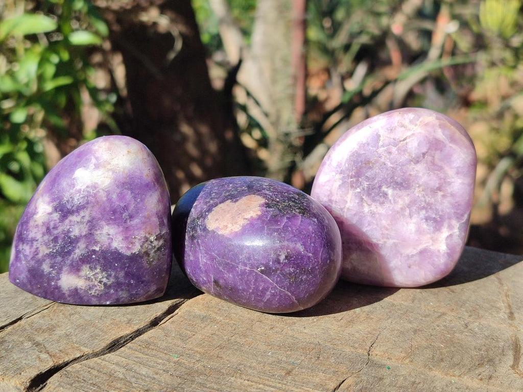 Polished Lepidolite Free Forms x 12 From Zimbabwe - Toprock Gemstones and Minerals 