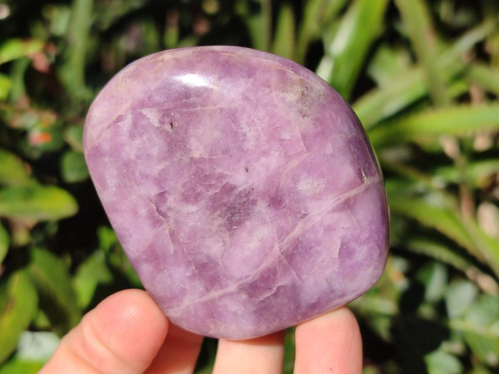 Polished Lepidolite Free Forms x 12 From Zimbabwe - Toprock Gemstones and Minerals 