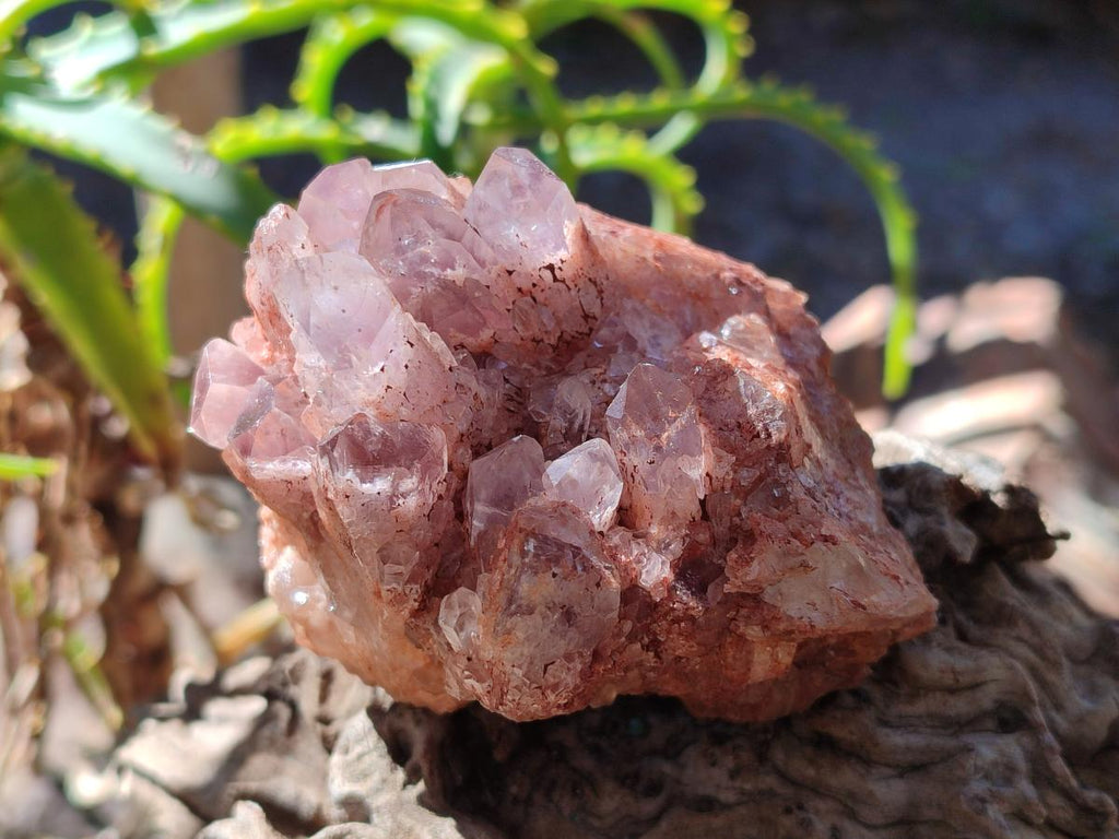 Natural Multi Mineral Specimens x 12 From Southern Africa - Toprock Gemstones and Minerals 