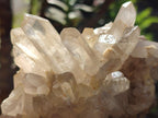 Natural Multi Mineral Specimens x 12 From Southern Africa - Toprock Gemstones and Minerals 