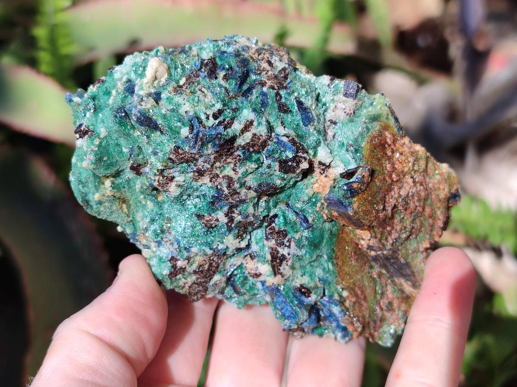 Natural Multi Mineral Specimens x 12 From Southern Africa - Toprock Gemstones and Minerals 