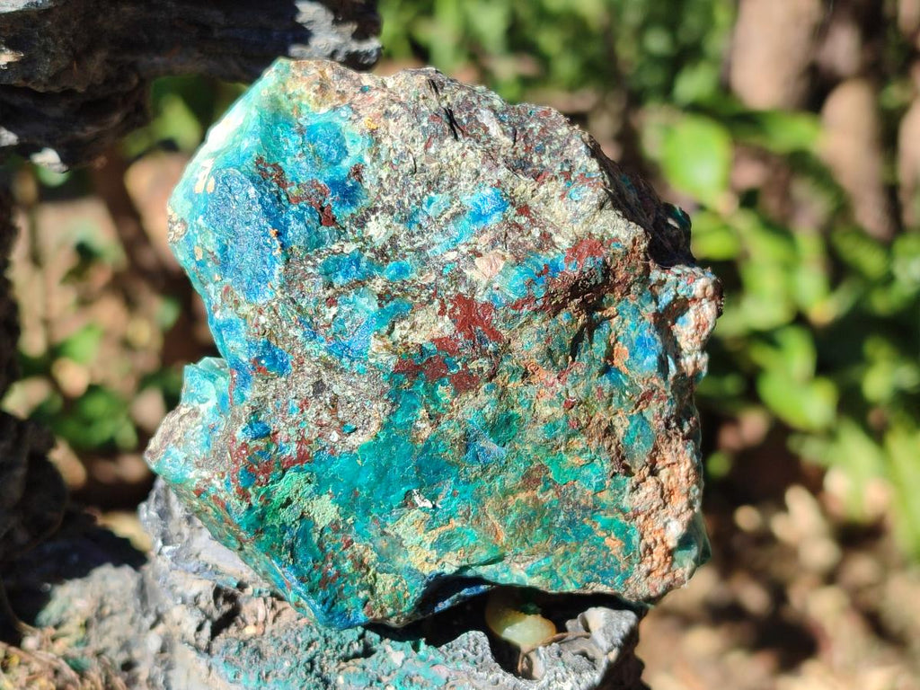 Natural Multi Mineral Specimens x 12 From Southern Africa - Toprock Gemstones and Minerals 