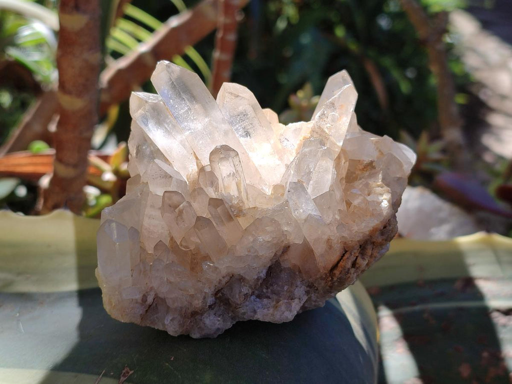 Natural Multi Mineral Specimens x 12 From Southern Africa - Toprock Gemstones and Minerals 