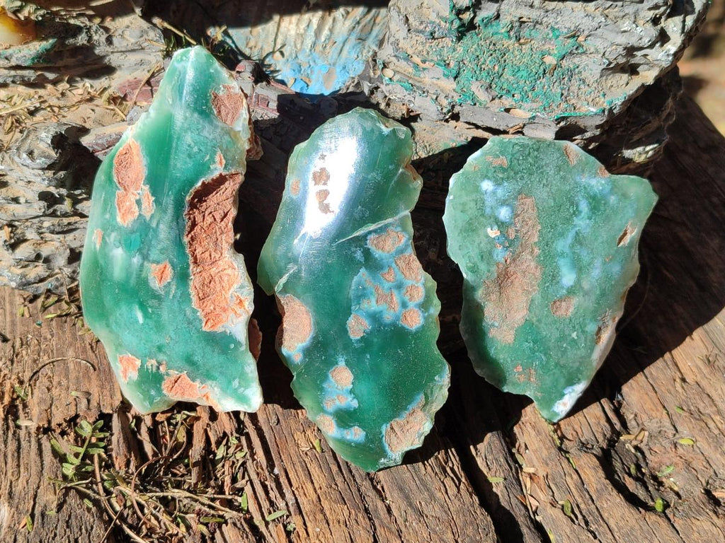 Polished One Side Mtorolite Chrysoprase Slices x 24 From Mutorashanga, Zimbabwe - Toprock Gemstones and Minerals 