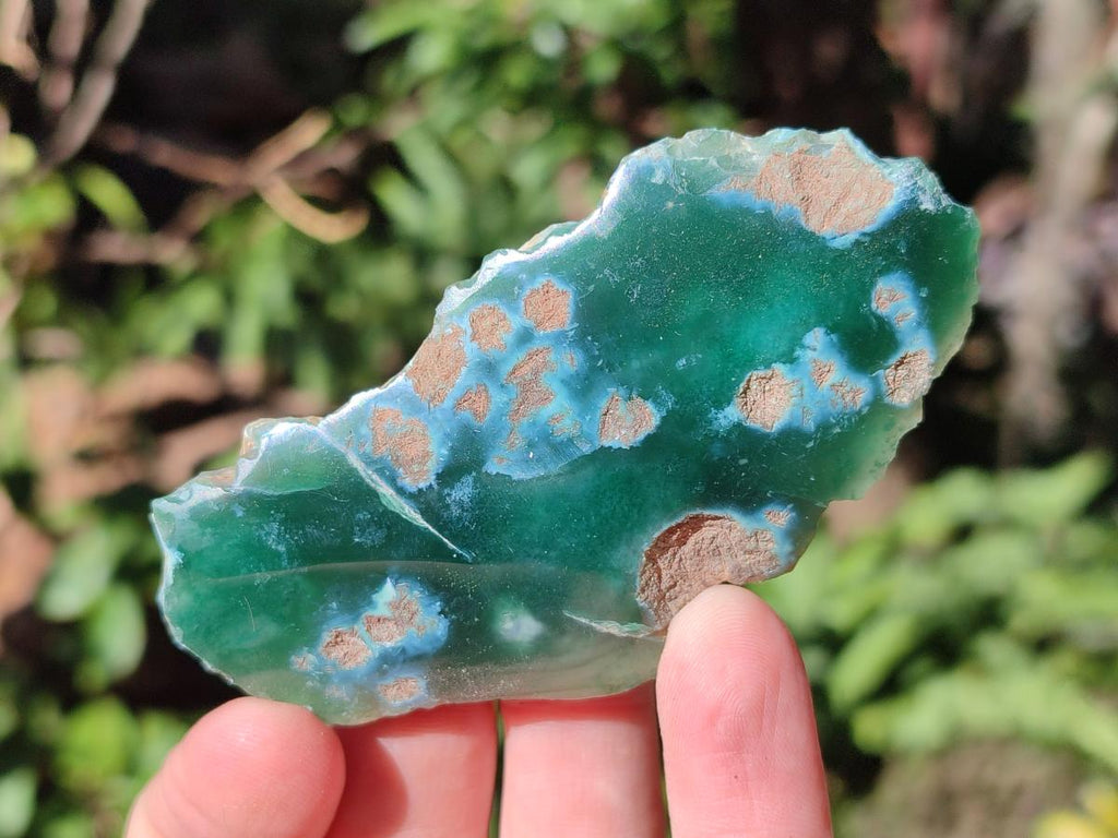 Polished One Side Mtorolite Chrysoprase Slices x 24 From Mutorashanga, Zimbabwe - Toprock Gemstones and Minerals 