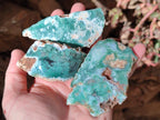 Polished One Side Mtorolite Chrysoprase Slices x 24 From Mutorashanga, Zimbabwe - Toprock Gemstones and Minerals 