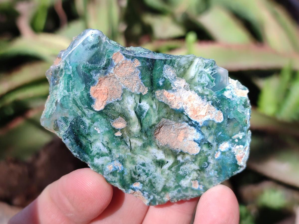 Polished One Side Mtorolite Chrysoprase Slices x 24 From Mutorashanga, Zimbabwe - Toprock Gemstones and Minerals 