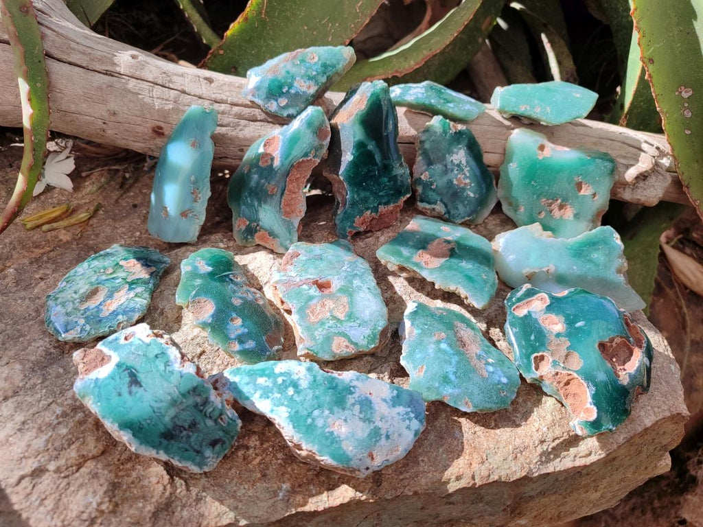 Polished One Side Mtorolite Chrysoprase Slices x 24 From Mutorashanga, Zimbabwe - Toprock Gemstones and Minerals 