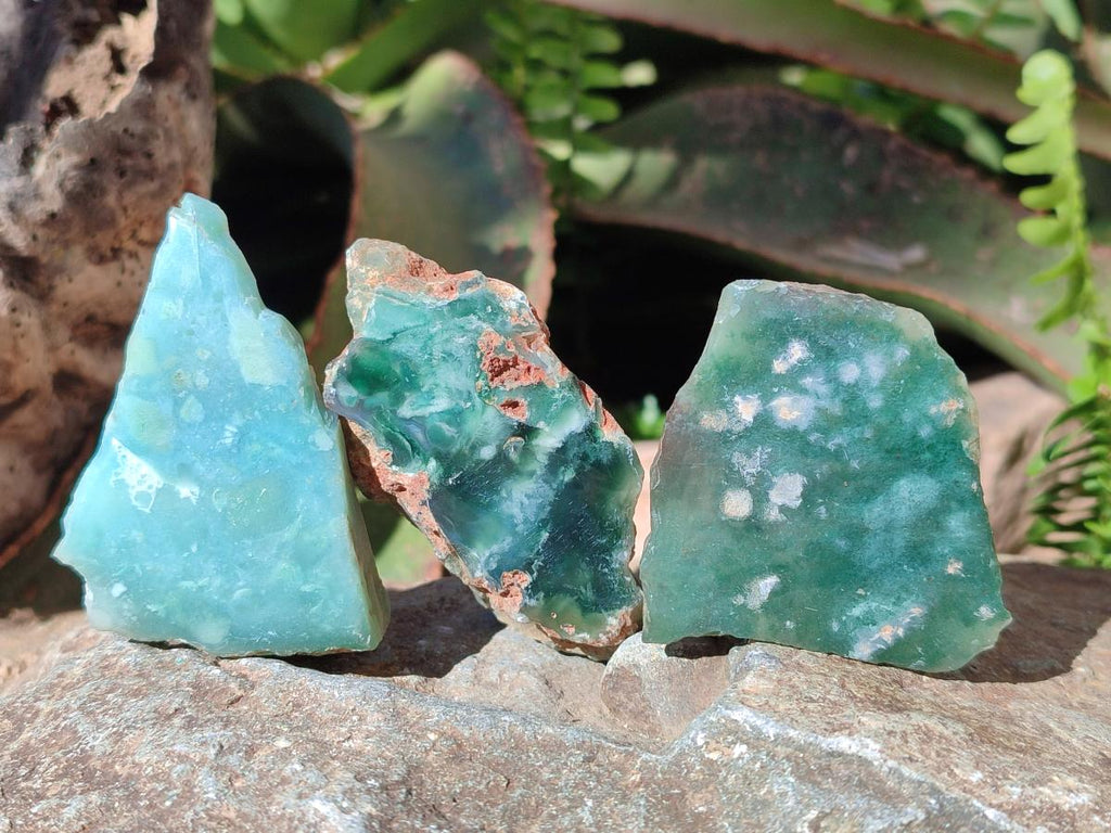 Polished One Side Mtorolite Chrysoprase Slices x 24 From Mutorashanga, Zimbabwe - Toprock Gemstones and Minerals 