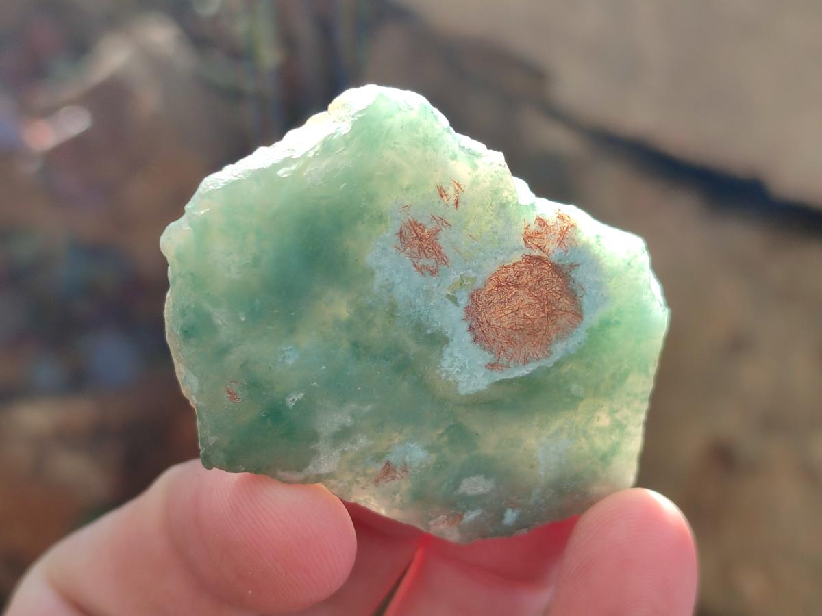 Polished One Side Mtorolite Chrysoprase Slices x 24 From Mutorashanga, Zimbabwe - Toprock Gemstones and Minerals 