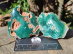 Polished One Side Mtorolite Chrysoprase Slices x 24 From Mutorashanga, Zimbabwe - Toprock Gemstones and Minerals 