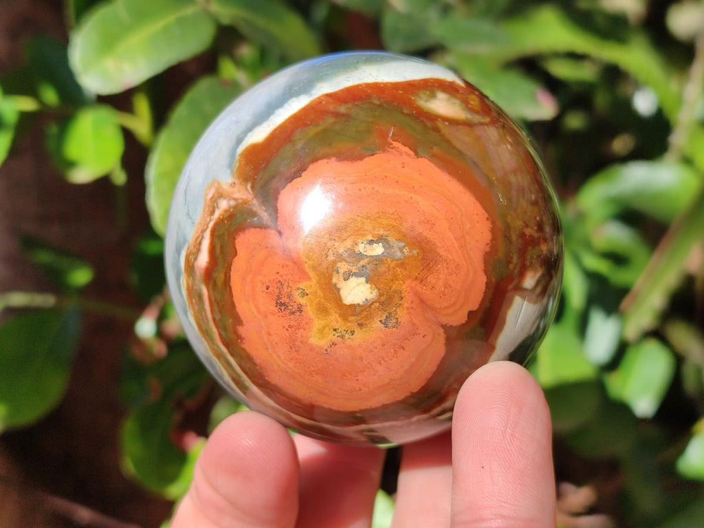 Polished Polychrome Jasper Spheres x 4 From Androka, Madagascar - Toprock Gemstones and Minerals 