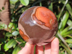 Polished Polychrome Jasper Spheres x 4 From Androka, Madagascar - Toprock Gemstones and Minerals 