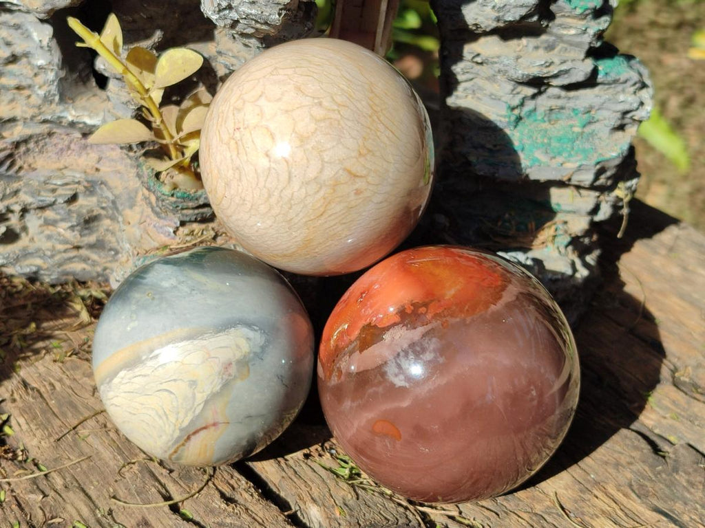 Polished Polychrome Jasper Spheres x 4 From Androka, Madagascar - Toprock Gemstones and Minerals 