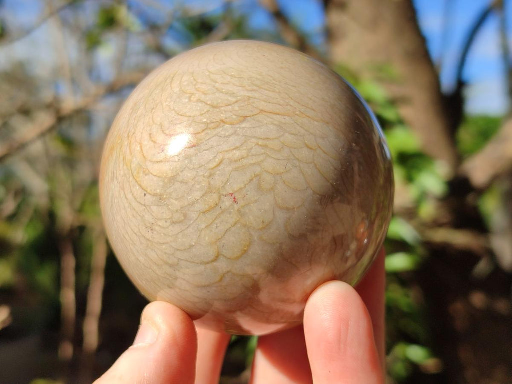 Polished Polychrome Jasper Spheres x 4 From Androka, Madagascar - Toprock Gemstones and Minerals 
