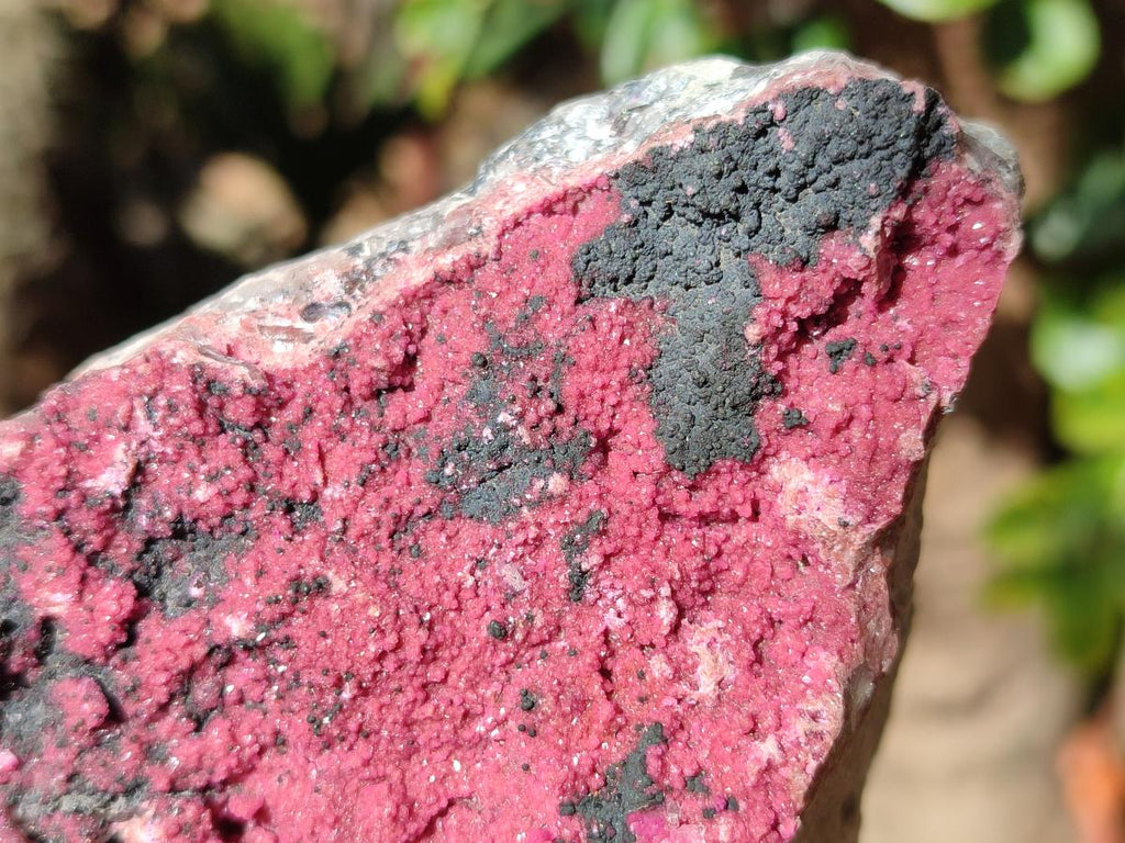Natural Salrose Cobaltoan Dolomite Specimens x 3 From Kakanda, Congo - Toprock Gemstones and Minerals 