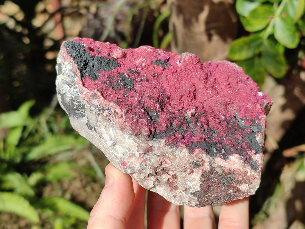 Natural Salrose Cobaltoan Dolomite Specimens x 3 From Kakanda, Congo - Toprock Gemstones and Minerals 