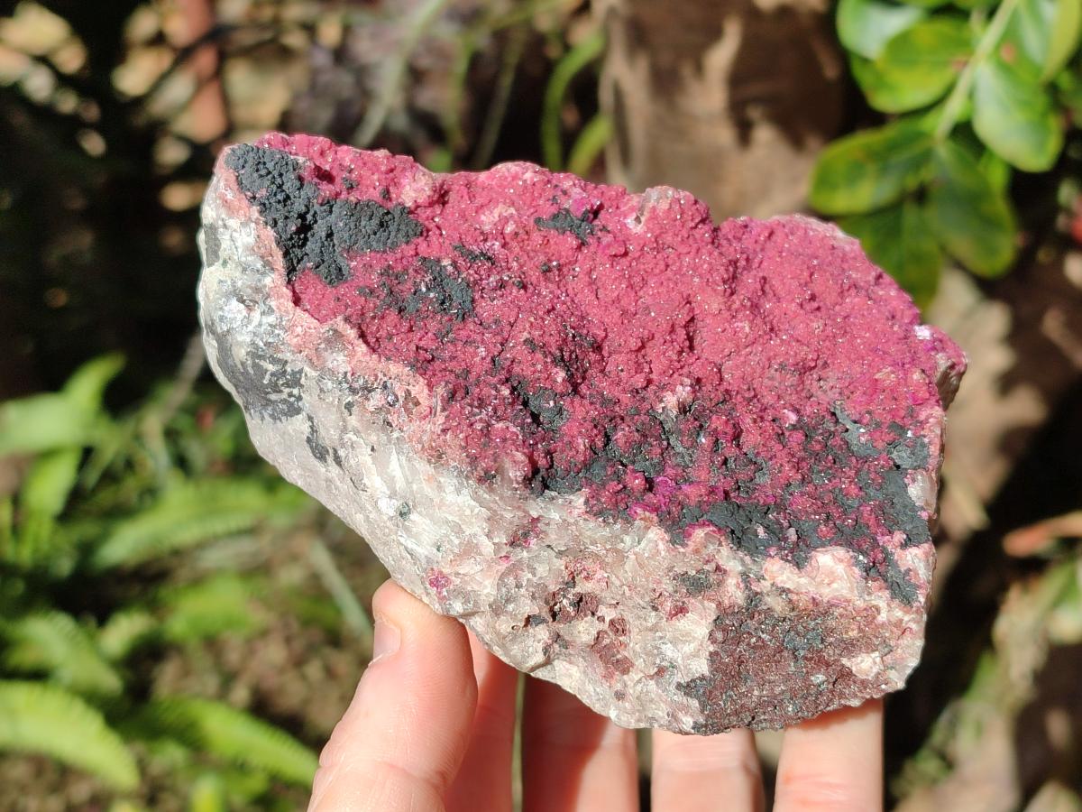 Natural Salrose Cobaltoan Dolomite Specimens x 3 From Kakanda, Congo - Toprock Gemstones and Minerals 