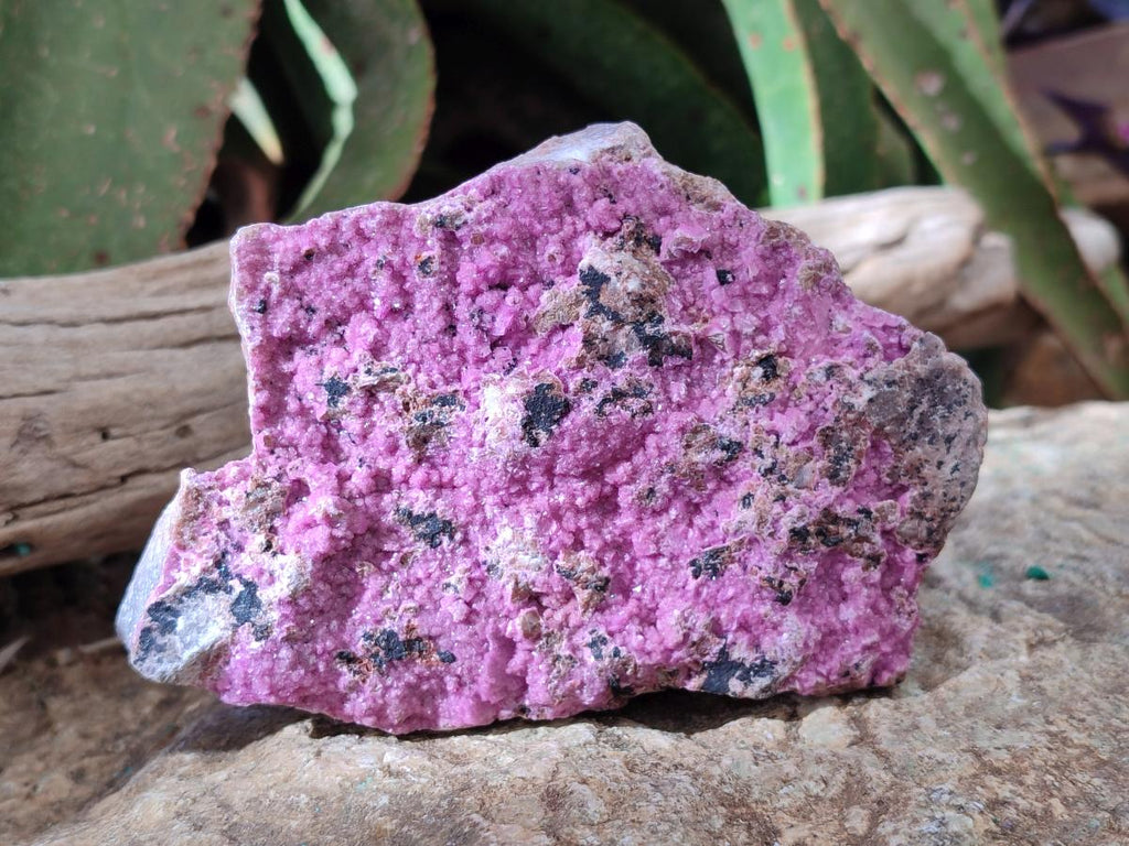 Natural Salrose Cobaltoan Dolomite Specimens x 3 From Kakanda, Congo - Toprock Gemstones and Minerals 