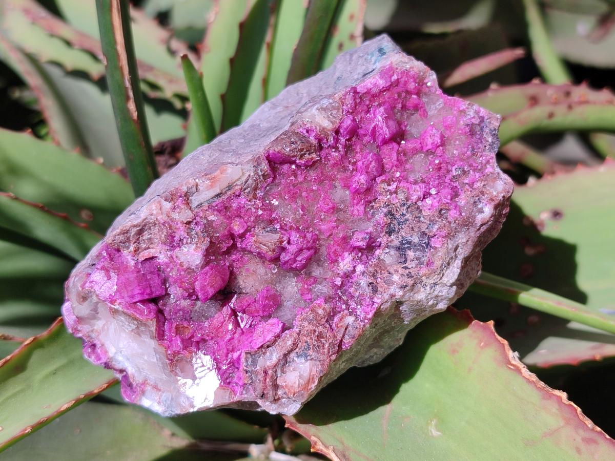 Natural Salrose Cobaltoan Dolomite Specimens x 3 From Kakanda, Congo - Toprock Gemstones and Minerals 
