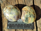 Polished Fluorescent Dendritic Yellow Opal Palm Stones x 12 From Moralambo, Madagascar - Toprock Gemstones and Minerals 