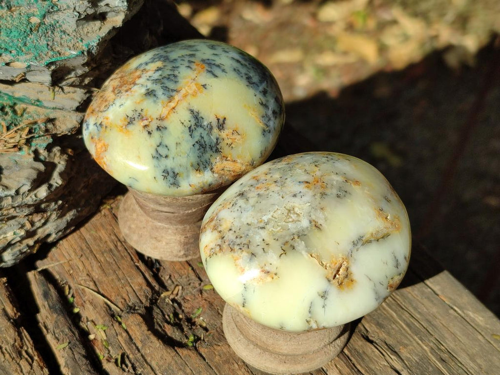 Polished Fluorescent Dendritic Yellow Opal Palm Stones x 12 From Moralambo, Madagascar - Toprock Gemstones and Minerals 