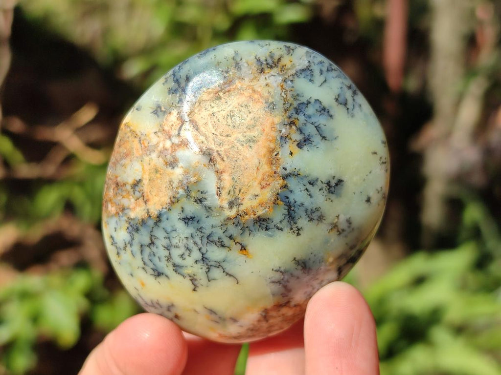 Polished Fluorescent Dendritic Yellow Opal Palm Stones x 12 From Moralambo, Madagascar - Toprock Gemstones and Minerals 
