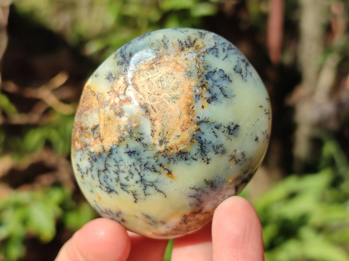 Polished Fluorescent Dendritic Yellow Opal Palm Stones x 12 From Moralambo, Madagascar - Toprock Gemstones and Minerals 