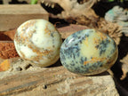 Polished Fluorescent Dendritic Yellow Opal Palm Stones x 12 From Moralambo, Madagascar - Toprock Gemstones and Minerals 