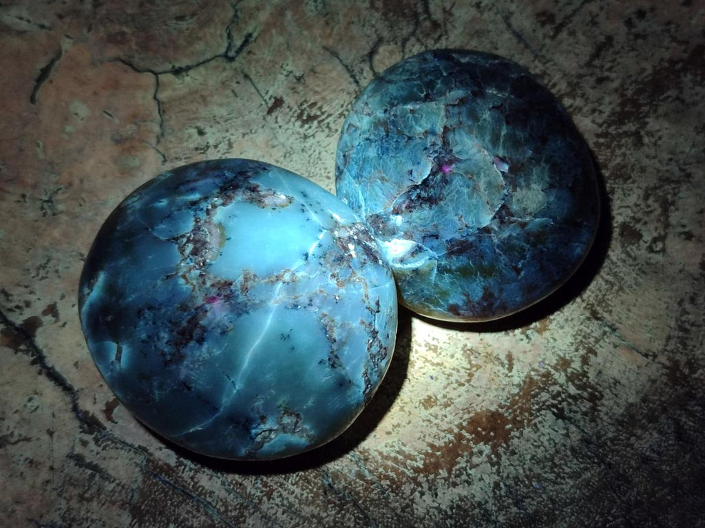 Polished Fluorescent Dendritic Yellow Opal Palm Stones x 12 From Moralambo, Madagascar - Toprock Gemstones and Minerals 