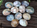 Polished Fluorescent Dendritic Yellow Opal Palm Stones x 12 From Moralambo, Madagascar - Toprock Gemstones and Minerals 