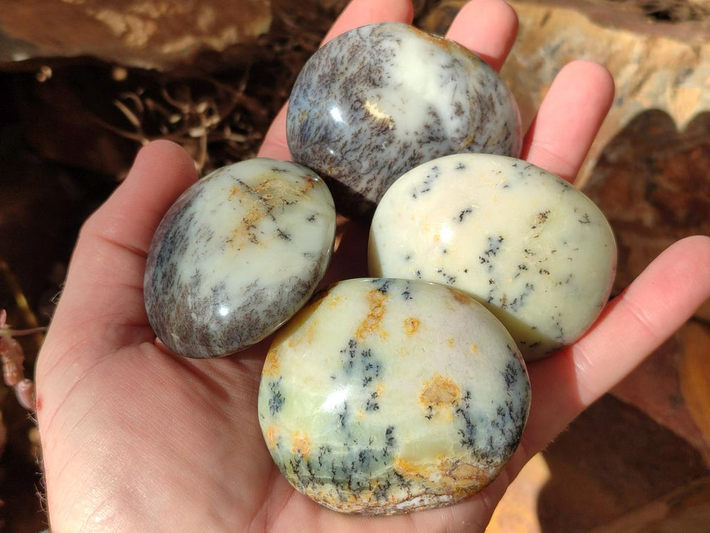Polished Fluorescent Dendritic Yellow Opal Palm Stones x 12 From Moralambo, Madagascar - Toprock Gemstones and Minerals 