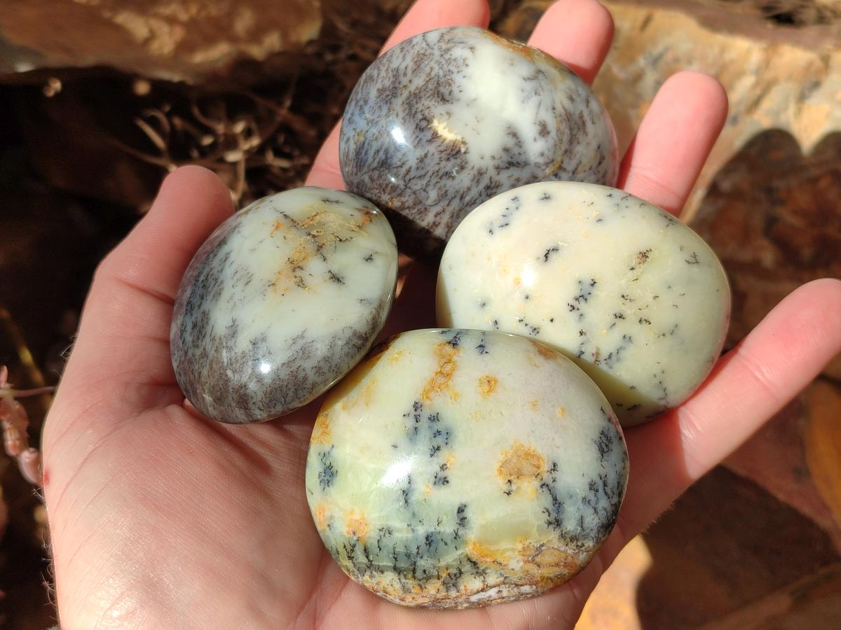 Polished Fluorescent Dendritic Yellow Opal Palm Stones x 12 From Moralambo, Madagascar - Toprock Gemstones and Minerals 