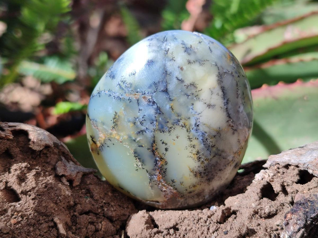 Polished Fluorescent Dendritic Yellow Opal Palm Stones x 12 From Moralambo, Madagascar - Toprock Gemstones and Minerals 