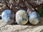 Polished Fluorescent Dendritic Yellow Opal Palm Stones x 12 From Moralambo, Madagascar - Toprock Gemstones and Minerals 