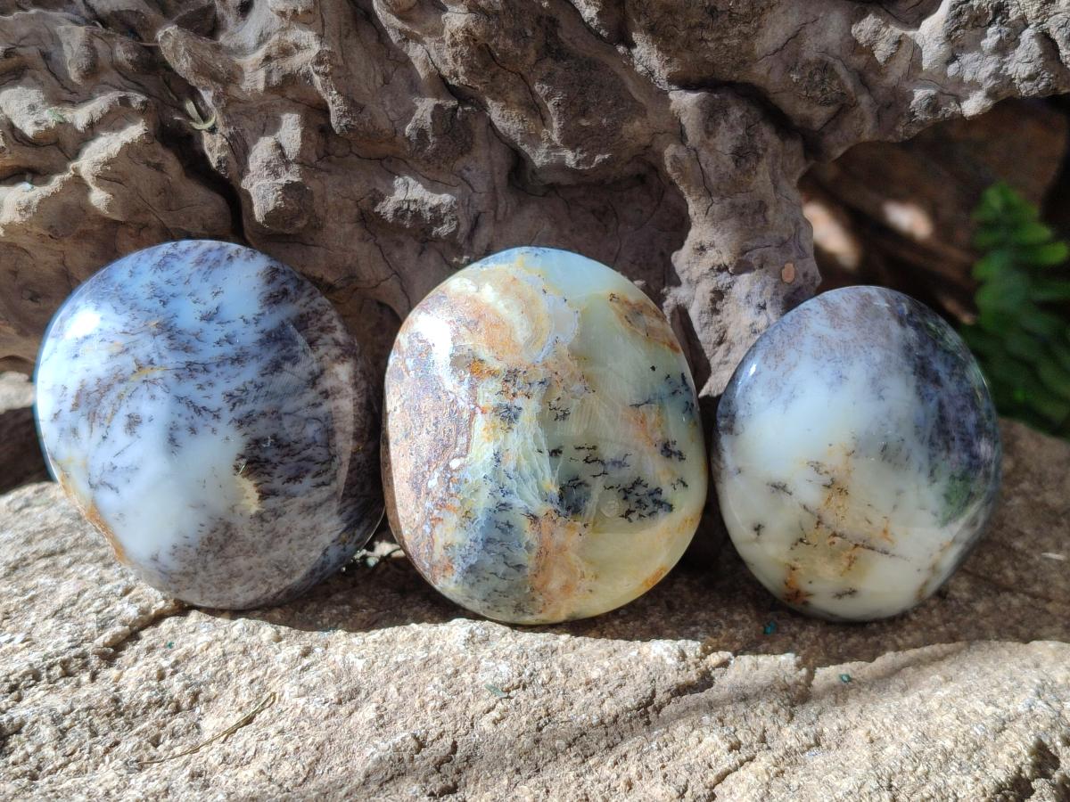 Polished Fluorescent Dendritic Yellow Opal Palm Stones x 12 From Moralambo, Madagascar - Toprock Gemstones and Minerals 