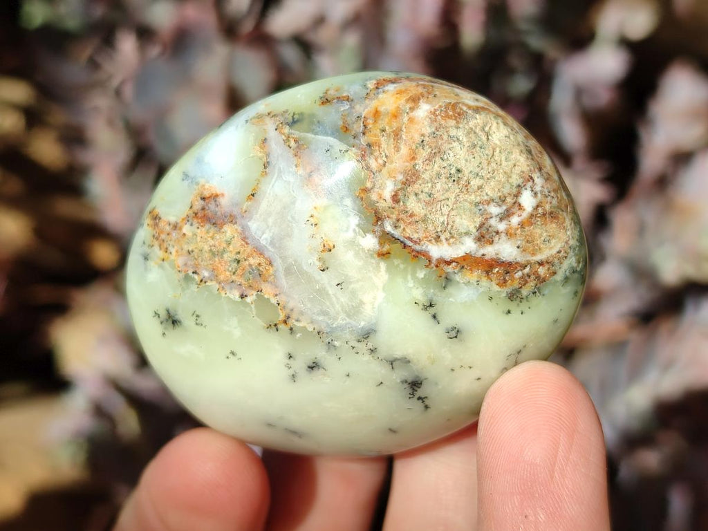 Polished Fluorescent Dendritic Yellow Opal Palm Stones x 12 From Moralambo, Madagascar - Toprock Gemstones and Minerals 