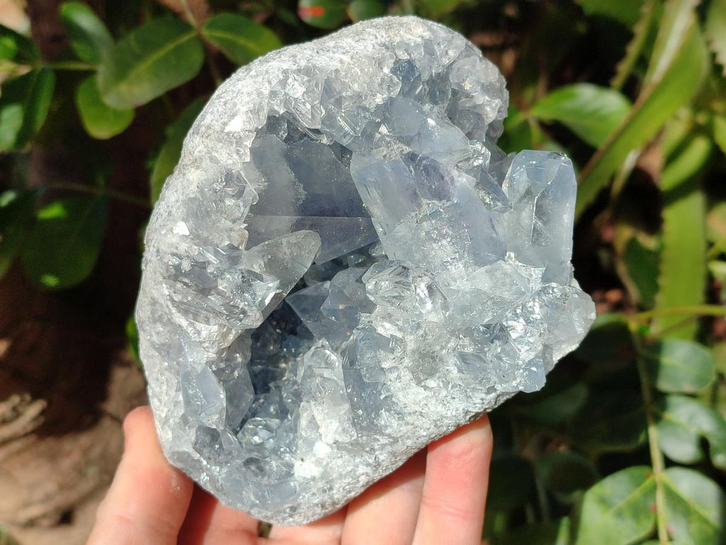 Natural Blue Celestite Specimens x 2 From Sakoany, Madagascar - Toprock Gemstones and Minerals 