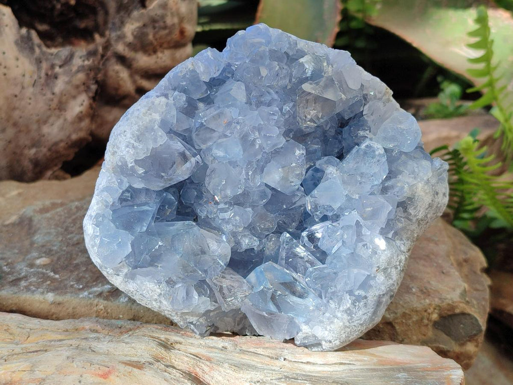 Natural Blue Celestite Specimens x 2 From Sakoany, Madagascar - Toprock Gemstones and Minerals 