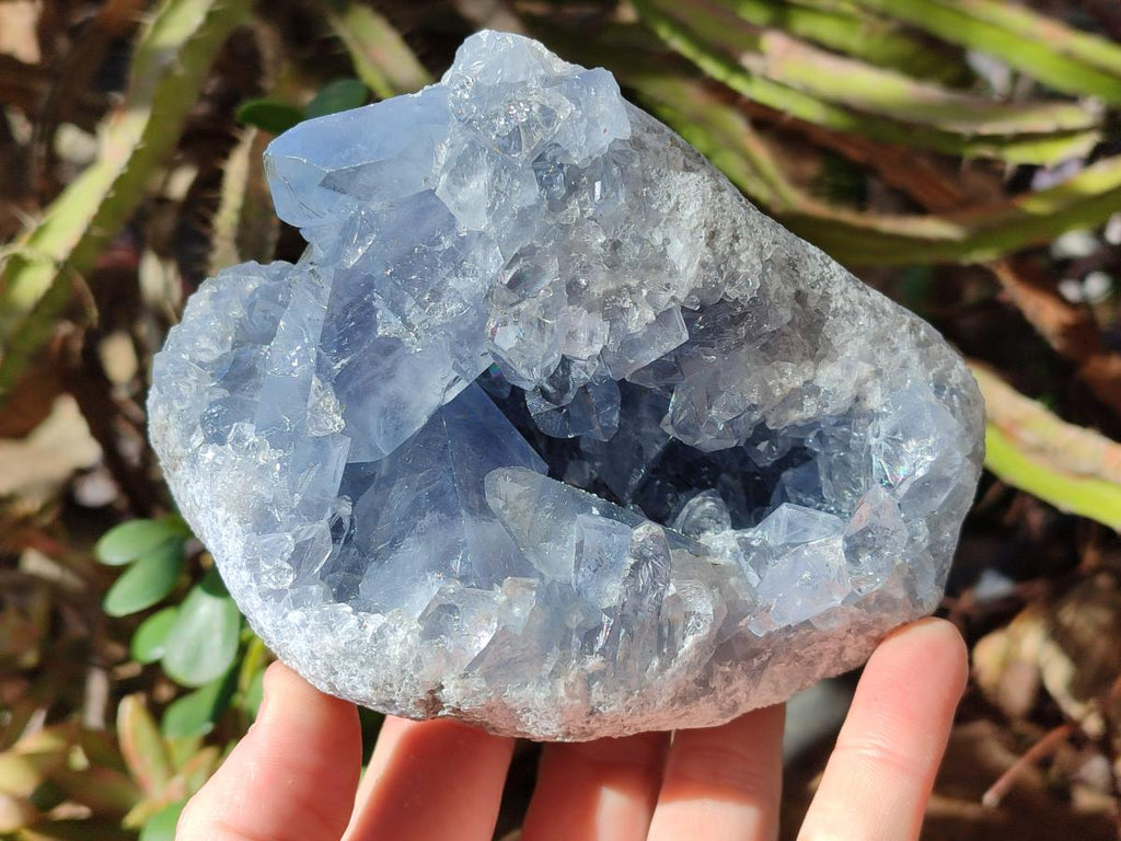 Natural Blue Celestite Specimens x 2 From Sakoany, Madagascar - Toprock Gemstones and Minerals 