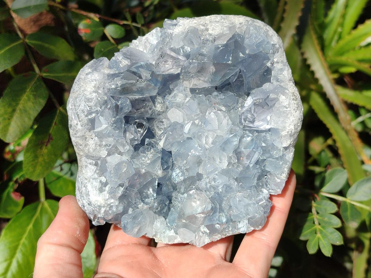 Natural Blue Celestite Specimens x 2 From Sakoany, Madagascar - Toprock Gemstones and Minerals 