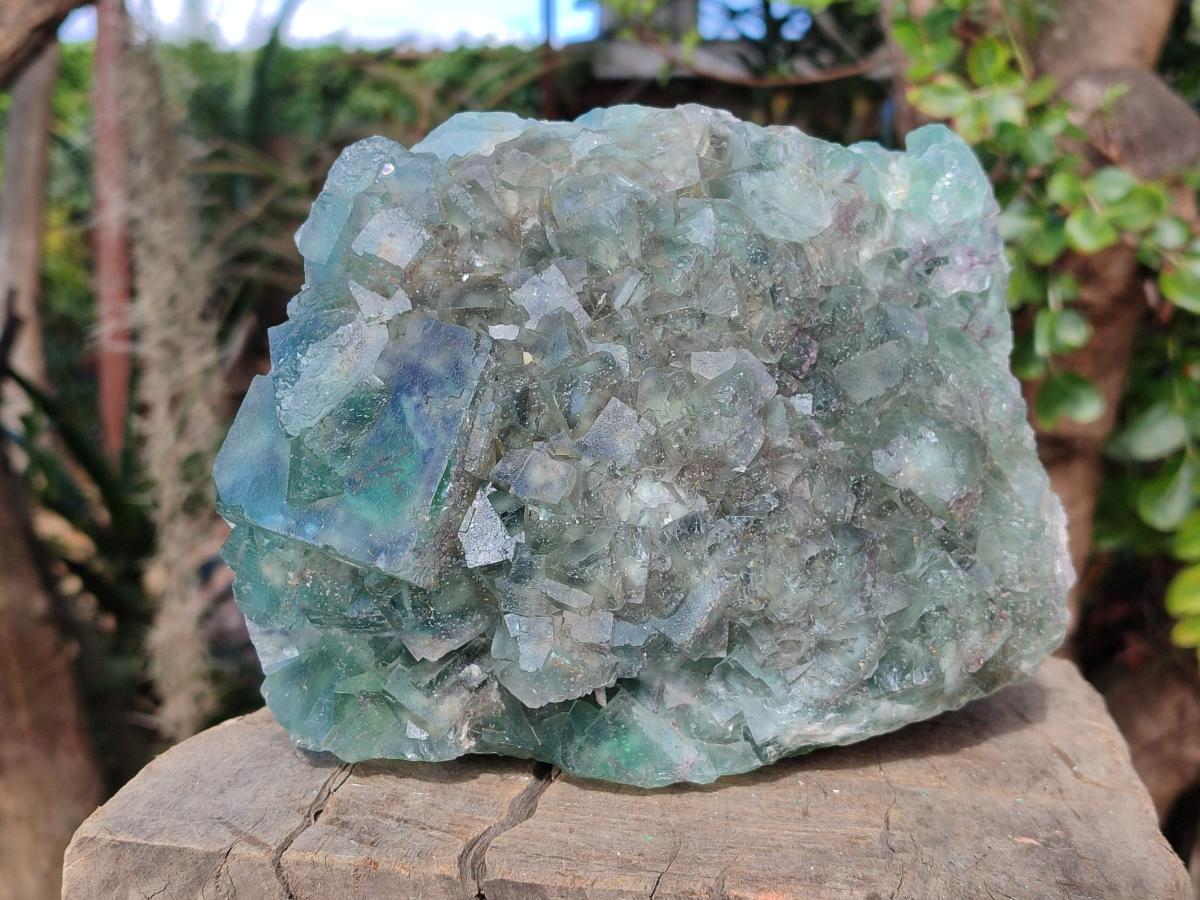 Natural Large Dark Green Cubic Fluorite Specimen x 1 From Okorusu Mine, Namibia - Toprock Gemstones and Minerals 