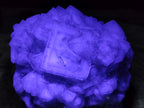 Natural Large Dark Green Cubic Fluorite Specimen x 1 From Okorusu Mine, Namibia - Toprock Gemstones and Minerals 
