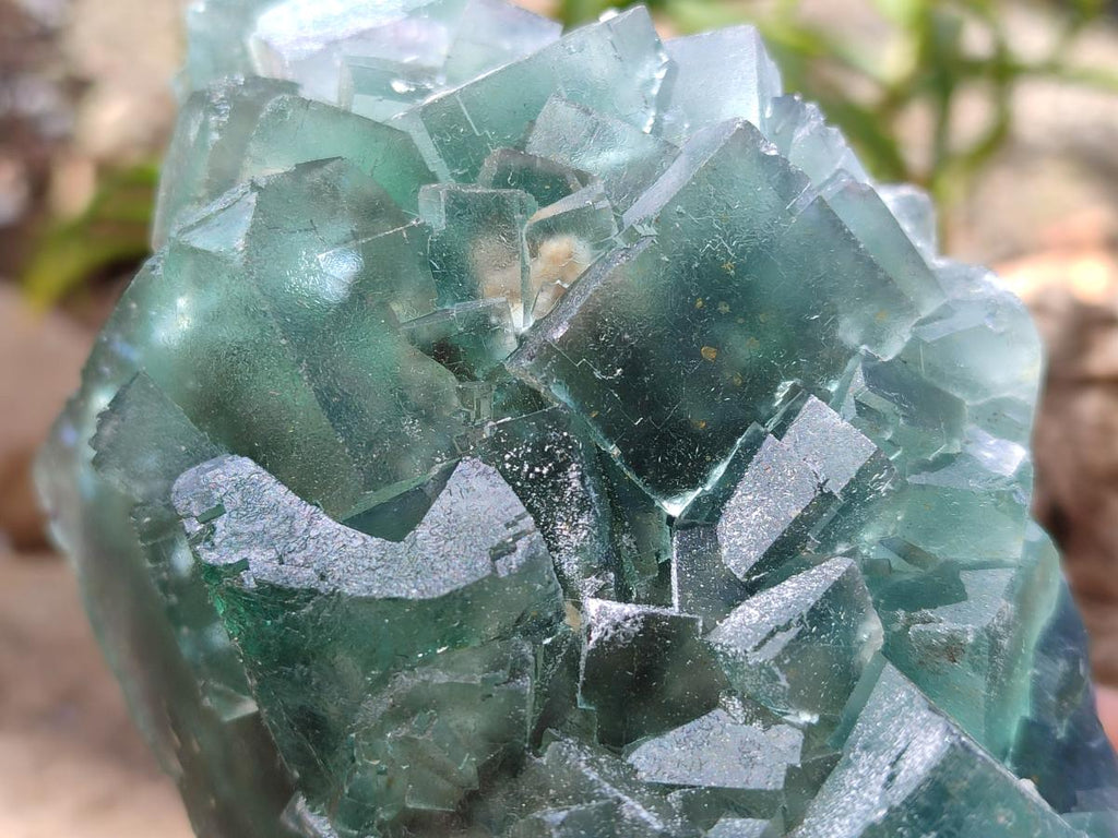 Natural Large Dark Green Cubic Fluorite Specimen x 1 From Okorusu Mine, Namibia - Toprock Gemstones and Minerals 