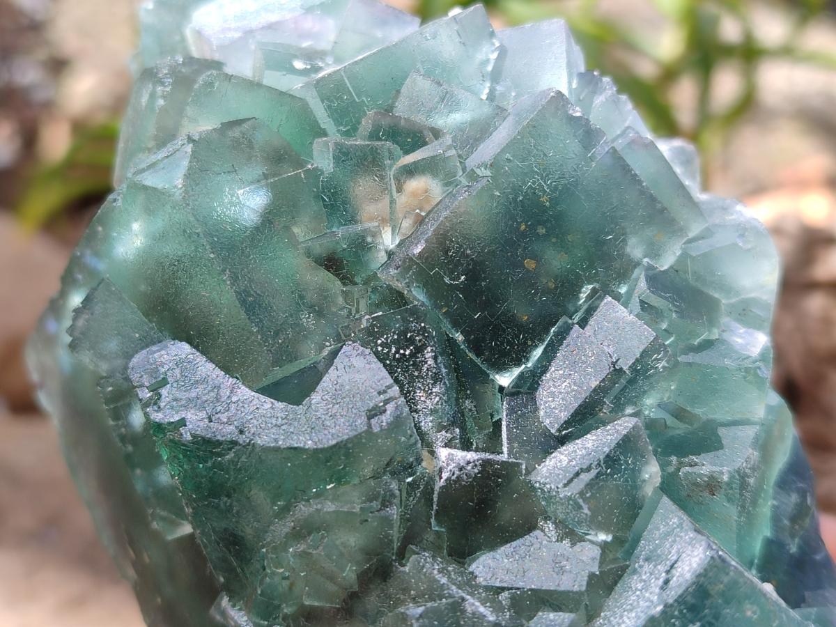 Natural Large Dark Green Cubic Fluorite Specimen x 1 From Okorusu Mine, Namibia - Toprock Gemstones and Minerals 