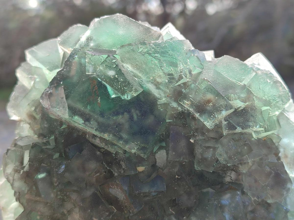 Natural Large Dark Green Cubic Fluorite Specimen x 1 From Okorusu Mine, Namibia - Toprock Gemstones and Minerals 