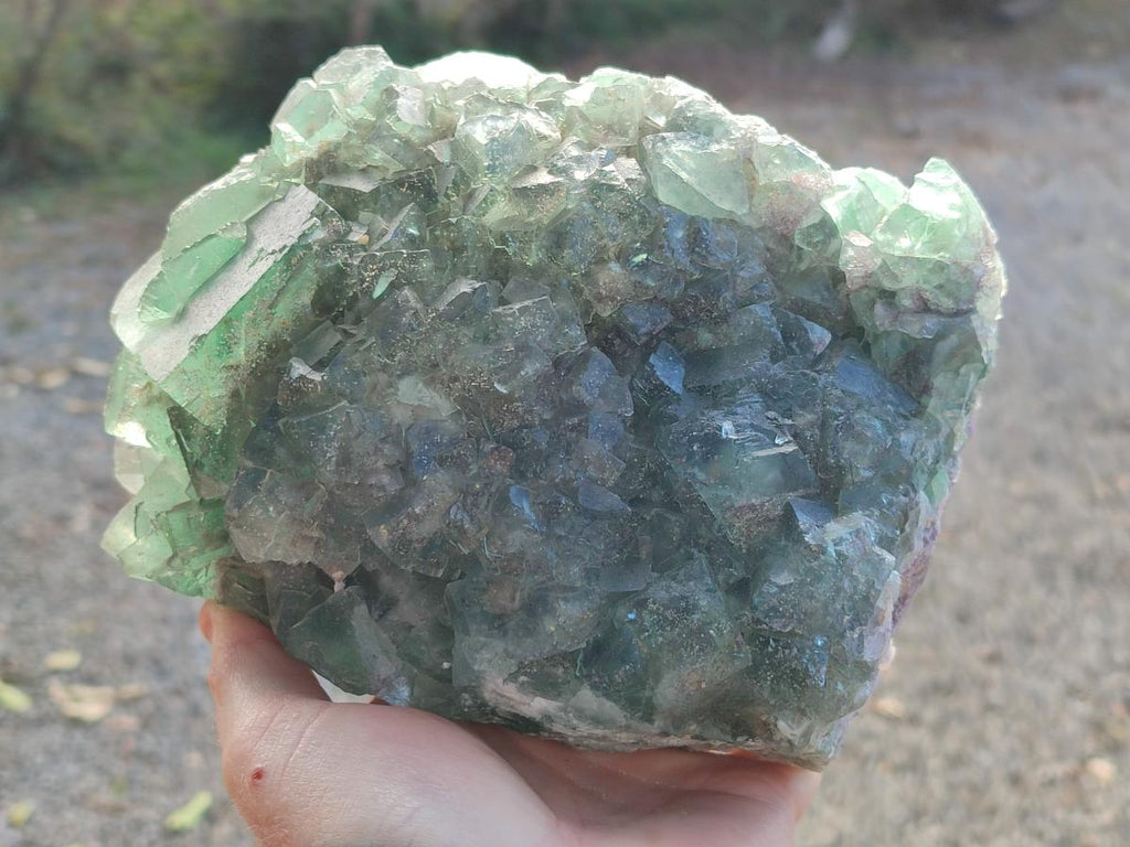 Natural Large Dark Green Cubic Fluorite Specimen x 1 From Okorusu Mine, Namibia - Toprock Gemstones and Minerals 