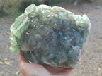 Natural Large Dark Green Cubic Fluorite Specimen x 1 From Okorusu Mine, Namibia - Toprock Gemstones and Minerals 