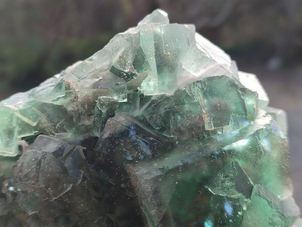 Natural Large Dark Green Cubic Fluorite Specimen x 1 From Okorusu Mine, Namibia - Toprock Gemstones and Minerals 